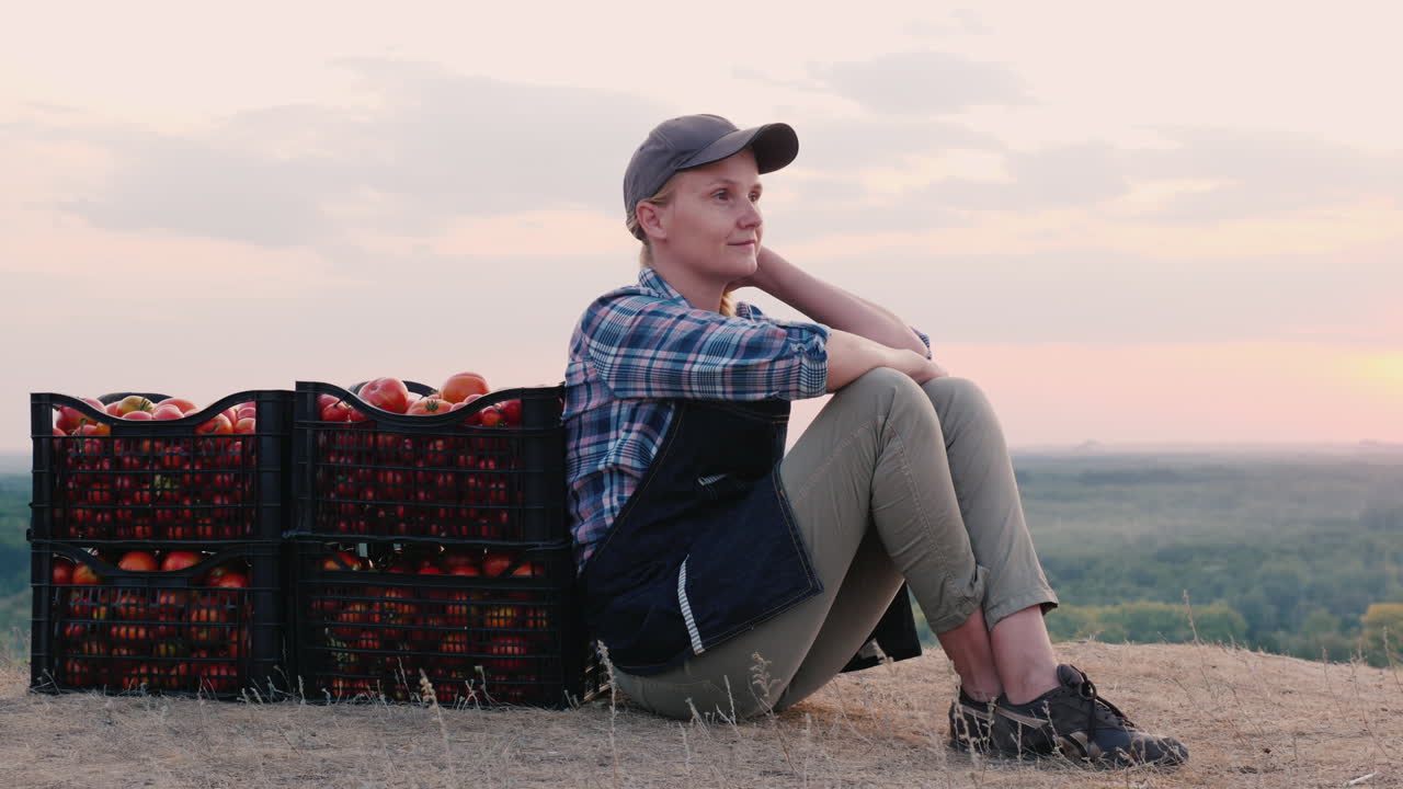 mujer cansada descansando cerca de cajas con tomates cosechas de granja familiar