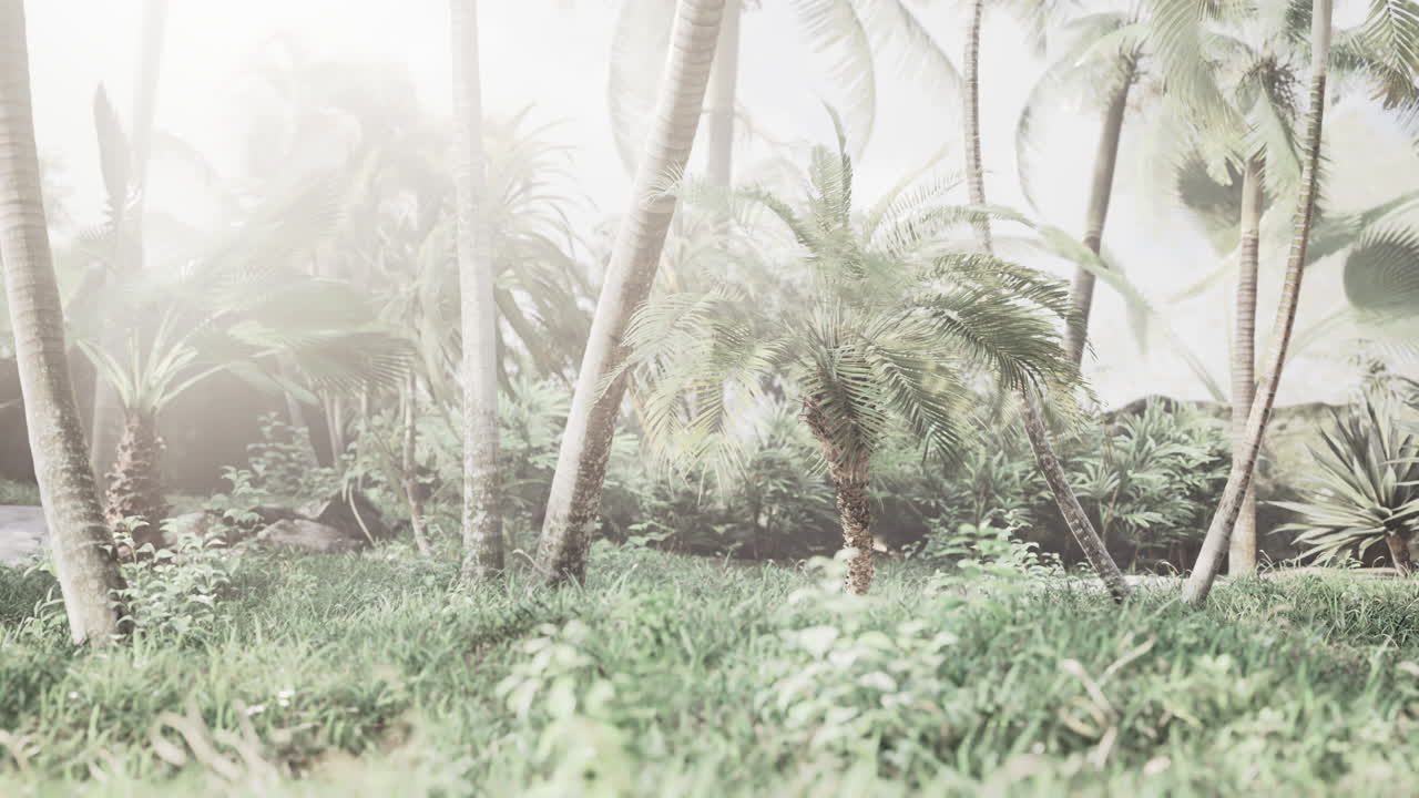 창의적인 열대 녹색 잎 자연 봄 개념