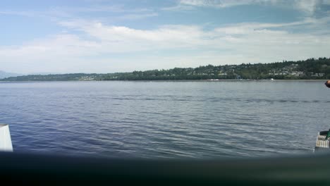 mirando por encima de las barandillas verdes en el servicio de ferry de washington