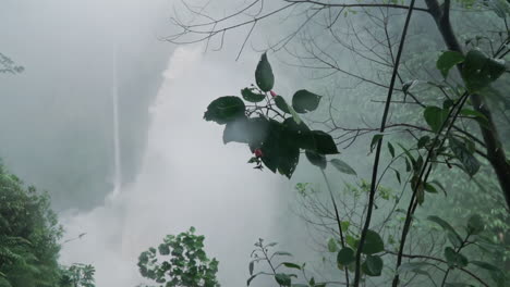 bajos del toro waterfall after torrential rain with plants in foreground