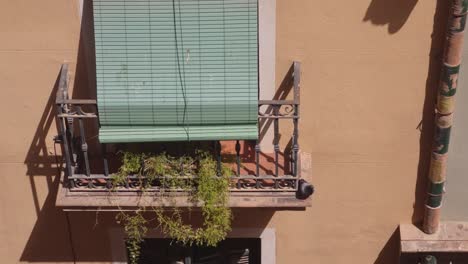 Taube-Fliegt-Vom-Fassadenbalkon-Eines-Gebäudes