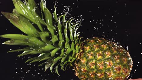 flying of pineapple in black background in slow motion