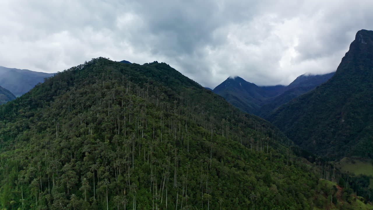 vista aérea desde un avión no tripulado del valle de cocora, salento, colombia