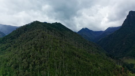 Luftdrohnenaufnahme-Des-Cocora-Tals,-Salento,-Kolumbien