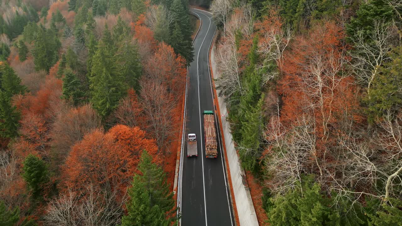 Truck Loaded With Tree Logs Traveling On The Road Running Through Autumnal Forest In Romania. Aerial Tracking Shot