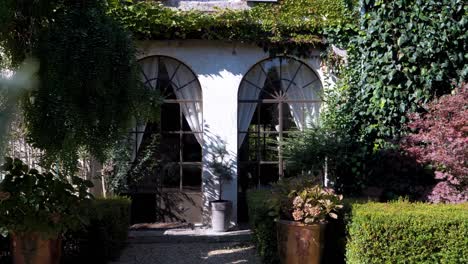 an olive tree with its olives floats in the background, the facade of a house with its large rounded windows and their large curtains