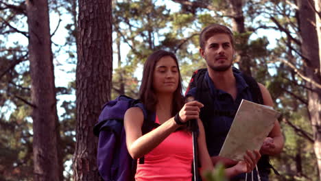 una pareja caminando por un bosque.