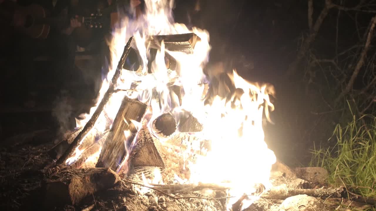 Quiet campfire surrounded by trees at night