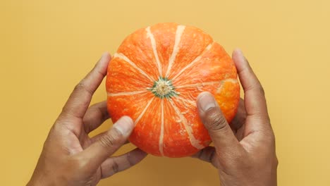 a close up of a pumpkin held in hands against a yellow background