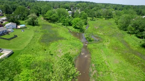 wide aerial shot of restored wetlands with young trees in a suburban environmental restoration