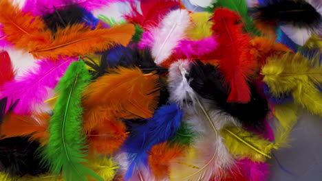 Fluffy, colored feathers softly falling into a pile