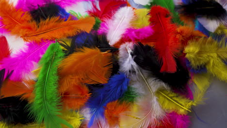 fluffy, colored feathers softly falling into a pile