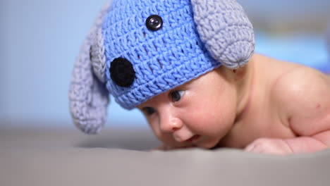 puppy cap on a baby head. lovely child lying on the belly and trying to keep his head up. toddler in a funny hat with ears close up.