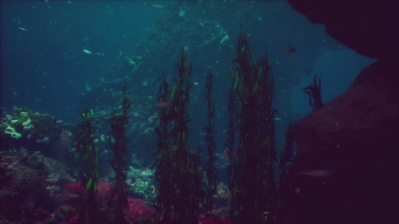 escena submarina con algas marinas, coral y peces