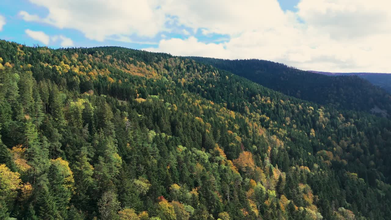 vista aérea sobre el hermoso bosque de montaña otoñal, vuelo lento, 4k