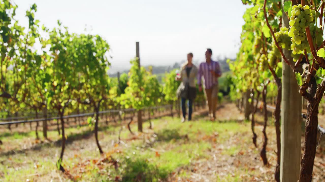 pareja cogida de la mano y caminando