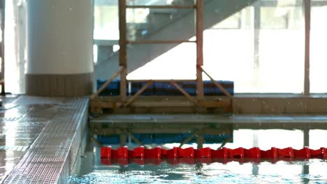 fit woman diving into pool