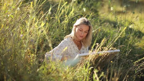 a young girl paints a picture while sitting in tall grass professional artist - a young girl paints a picture while sitting in tall grass. professional artist, art, inspiration in nature