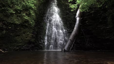Beautiful-cascading-waterfall-into-the-pool-at-the-bottom,-deep-forest,-low-angle