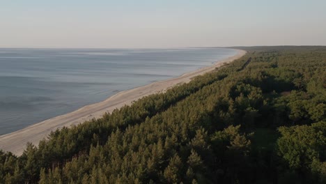 aerial view of the lush green vegetation at the baltic coast