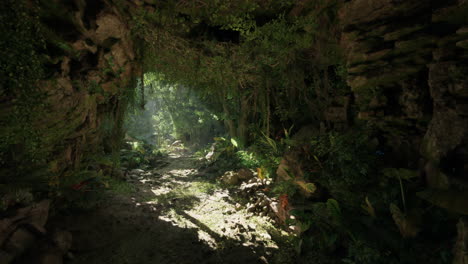 un camino a través de una exuberante selva tropical con la luz del sol filtrando a través de las hojas.