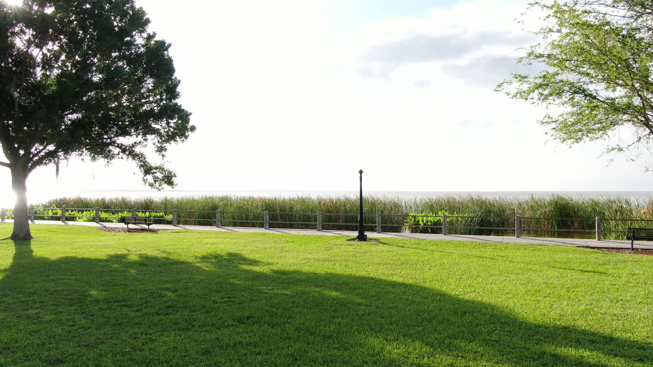 새들이 머리 위로 날아다니는 호숫가 공원의 아름다운 봄 오후