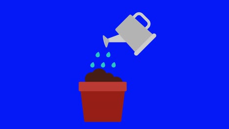colorful simple animation of a growing house plant isolated on a blue screen in 4k