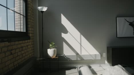 sun light beaming through black paned windows onto a wall, plant, and light inside of a modern city loft condo