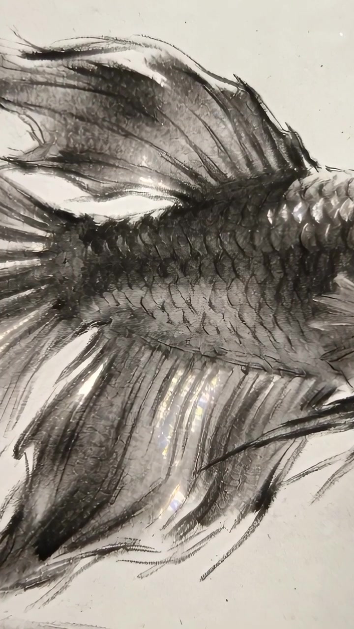 Video verticale: Telecamera che panoramica rivelando un disegno a inchiostro di un pesce a metà corpo su carta, mostrando texture e macchioline.