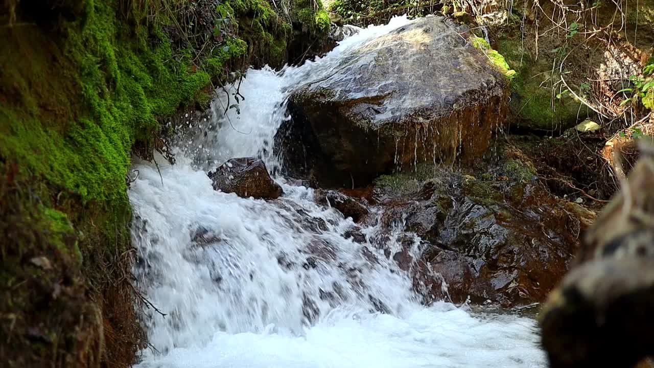 corriente de agua fluye sobre las rocas y excava en el suelo, musgo verde en el bosque, vista frontal