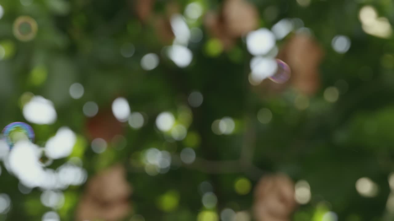 video 4k de burbuja de jabón en cámara lenta volando en el aire con un fondo de árbol verde fuera de enfoque.