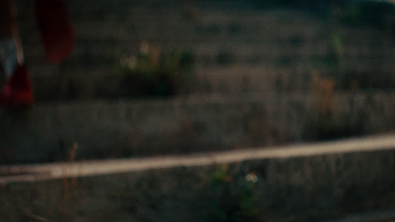 Blurred Concrete Stairs with Plants