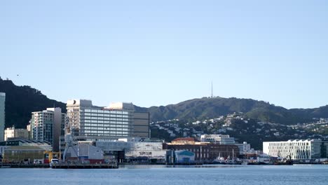 landscape of wellington harbour in new zealand