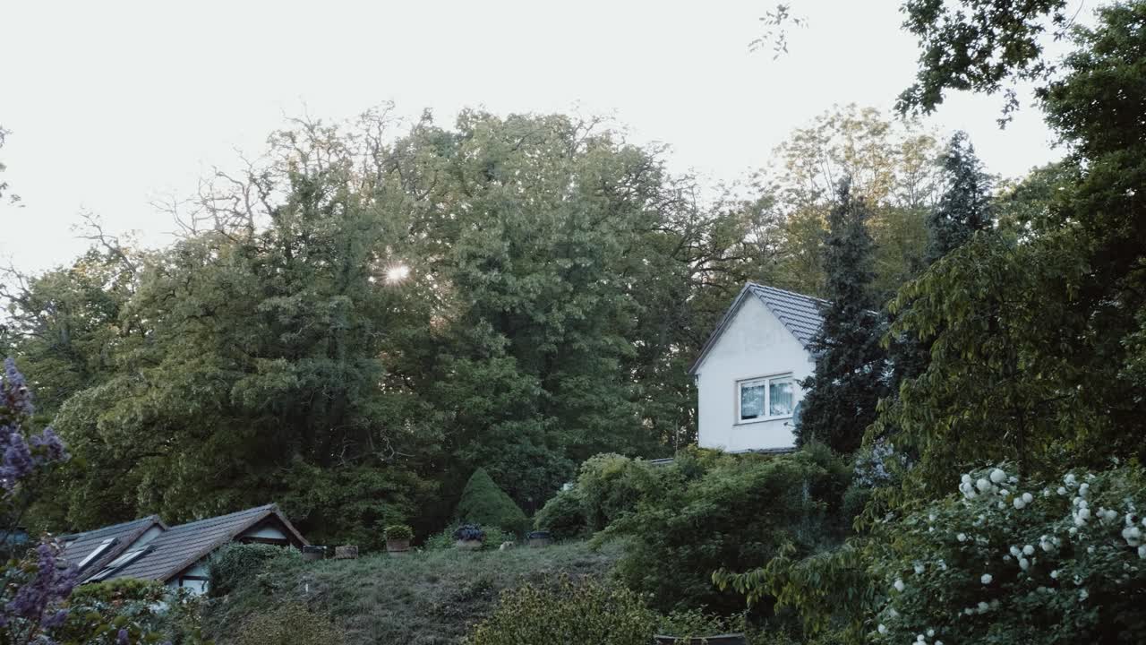 A green forest in summer with a house on a mountain and a beautiful evening sun