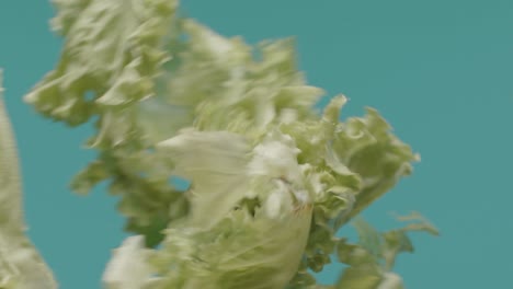 lettuce falling