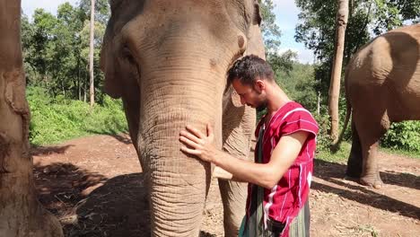 Joven-Turista-En-El-Santuario-Sonriendo-Feliz-Mientras-Alimenta-Con-La-Mano-Y-Acaricia-Al-Elefante