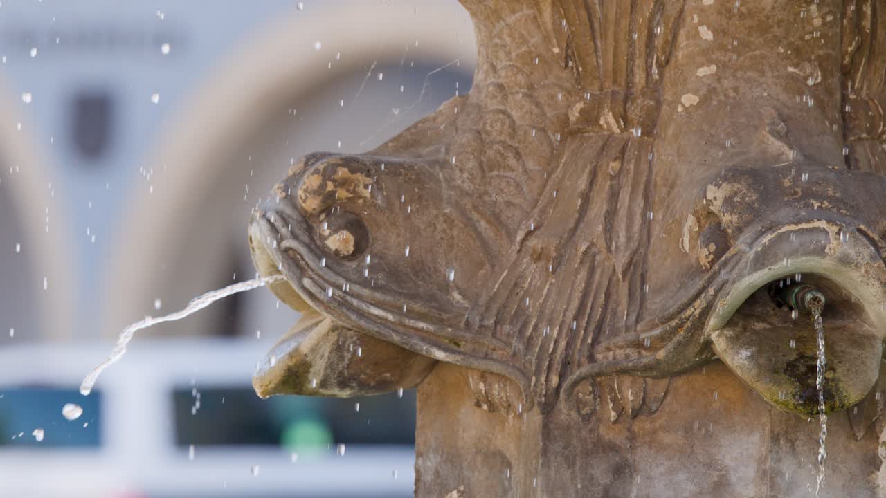 Closeup of stone fish sculpture fountain streaming water in a European outdoor setting
