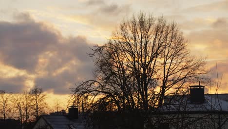 Lapso-De-Tiempo-De-La-Vista-Exterior-Desde-El-Hogar,-El-árbol-Y-Las-Casas-Vecinas,-Amanecer