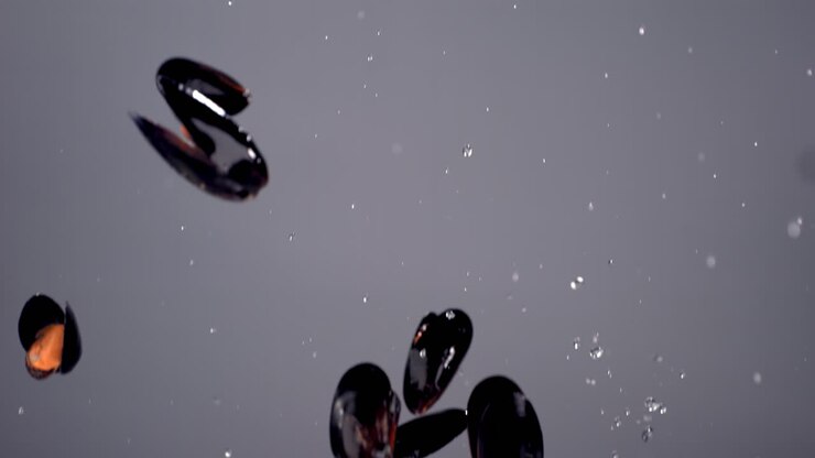 SLOW MOTION Boiled mussels flying along with water drops on bright background. Shot with high speed camera, 420 FPS