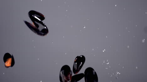 SLOW-MOTION-Boiled-mussels-flying-along-with-water-drops-on-bright-background.-Shot-with-high-speed-camera,-420-FPS