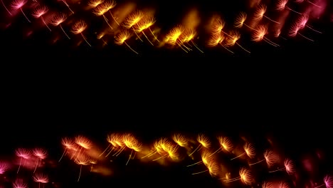 abstract bokeh luz brilla diente de león o tampopo patrón de soplo amarillo y rosa gradiente de color ilustración en fondo oscuro, animación de bucle sin costuras 4k con espacio de copia central