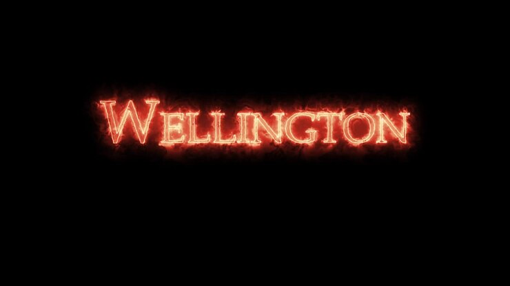 Wellington scritta con il fuoco. Loop.