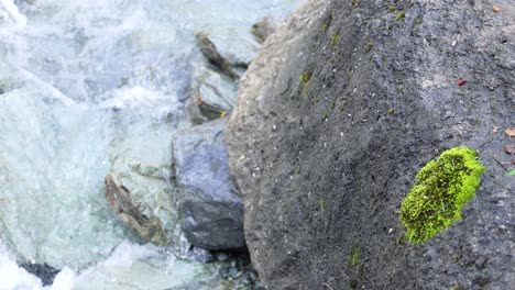 a large mossy rock sits at the edge of a fast-moving river, captured in daylight with a steady camera and natural lighting