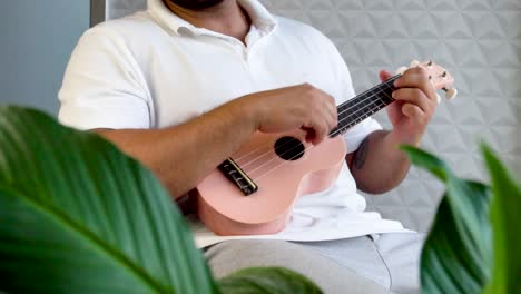 playing pink ukulele next to a big window and close to a green plant