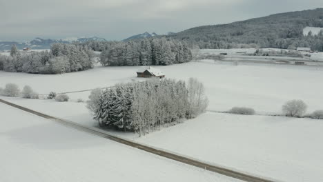 Antena-De-Un-Grupo-De-árboles-Cubiertos-De-Nieve-Con-Una-Pequeña-Cabaña-En-Un-Hermoso-Paisaje-Invernal