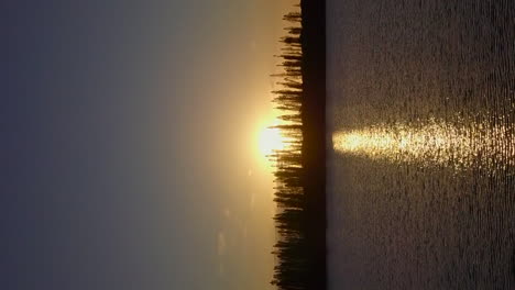 Flying-towards-the-setting-sun-beyond-a-columnar-pine-forest-on-the-Isle-of-Pines---vertical-orientation