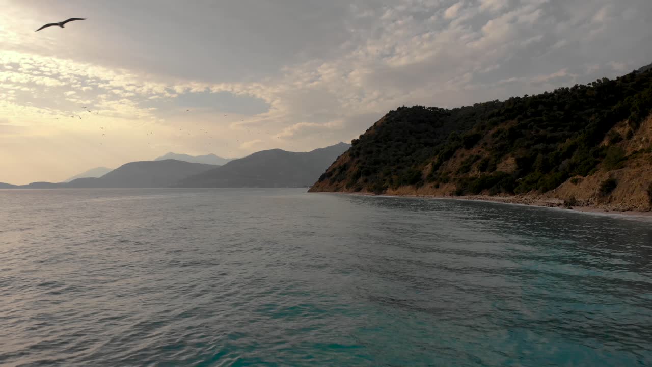 Seagulls flying over sea on beautiful bay near hills on a cloudy sky background at evening