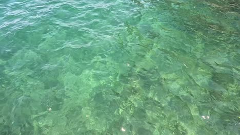 crystal clear water with visible rocks