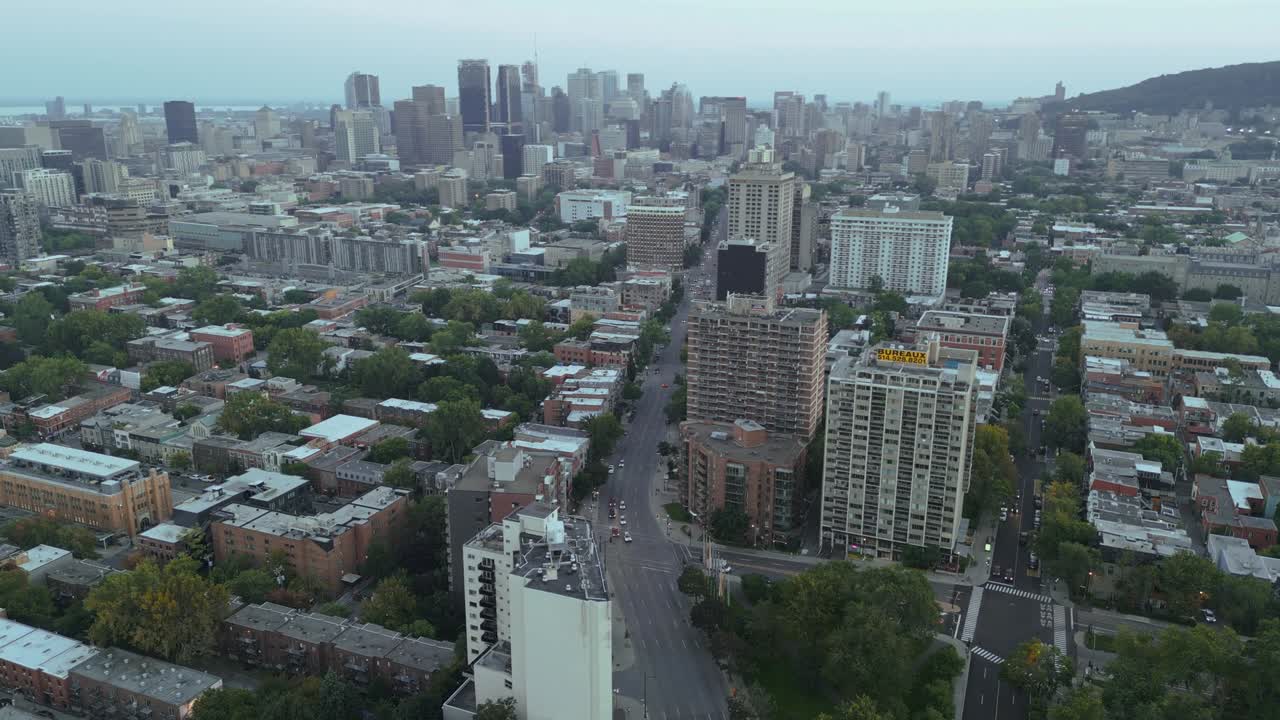 Aerial drone footage of downtown Montreal showing tall modern buildings, tree-lined streets, and Mount Royal in background capturing urban skyline and natural harmony of Quebec’s main city