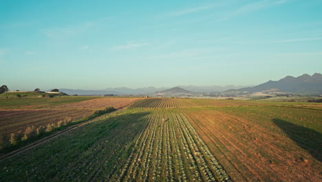farm, agriculture and drone of landscape in field